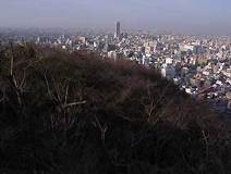 03/17 �\���C���V�m�ɂڂ݂����n�߂�