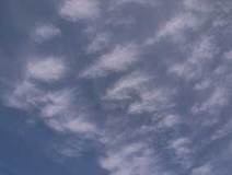 03/17 ���t�̋��؎R�Ɋ��_�L����