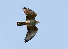 03/23 �����̌�������