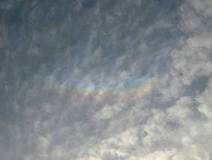 03/13 �V���A�[�N(���XN)