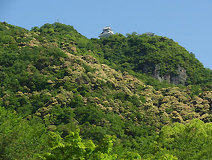 05/15 �c�u���W�C���炫�ւ� ���̖��̒ʂ���؎R