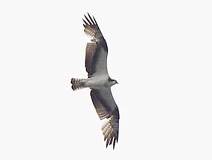 03/28 �����ɕY���ŃJ�E���g�����~�T�S2�́B