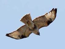 03/29 �m�X���@�����������߂��Ⴂ�̂�����