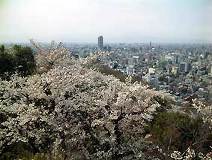 04/04 ���J���}�������ɉ����򕌎s�X(���XN)