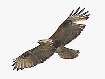 03/16 �n��m�X��Ad