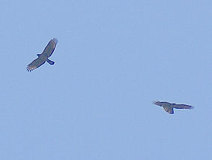 05/19 �n�`�N�}2�H M.Nagase