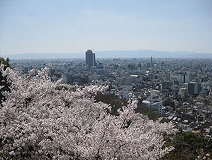 04/12 �����J�̒�_�����n�@N.Komori