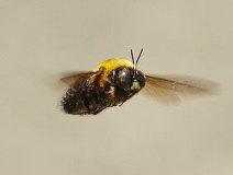 05/12 �z�o�����O����N�}�o�`(����M)