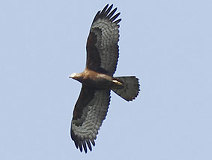 05/12 �ÐF�^��