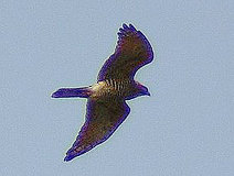 03/23 �T�V�o���F(����M)