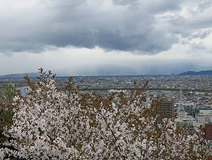 04/08 ���J�̎R���ƒr�c�R�̉J��(���XN)