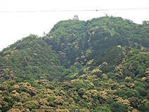 05/14 ���؎R�͍��A���F�ɁE�E�E�@(���XN)