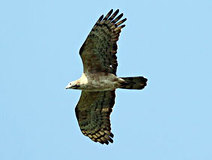 05/16 �n�`�N�}Ad���@(����)