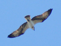 03/15 �~�T�S�@(����M)