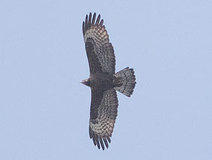 05/05 �n�`�N�}��