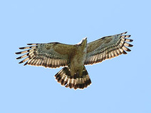 05/07 �n�`�N�}��(����)