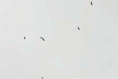 09/26 �T�V�o�͍����A������̂�����ł��B<br>