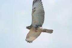 09/29 �n��m�X���@�c���@�����@�B�e