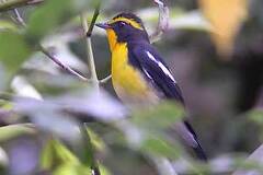 10/14 2005.10.14�@�ѓ��̃L�r�^�L�@�͌��@�_�l���@�B�e<br>