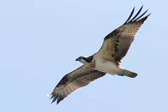 09/19 �~�T�S�@Photo:���R�@�x��