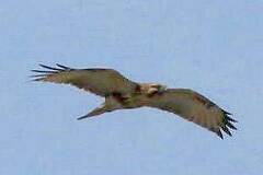 09/25 �m�X��