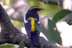 10/12 �L�r�^�L�F�͌��@�_�l��