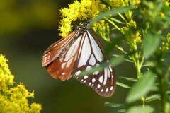 10/13 �A�T�M�}�_��