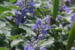 10/13 �n�}�S�E