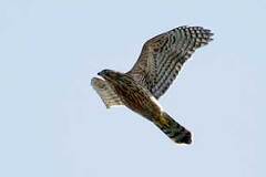 09/24 �I�I�^�J�c��