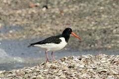 09/26 �~���R�h���͘A�������Ă��܂�