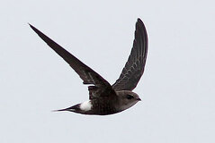 10/01 �A�}�c�o���@�����j��