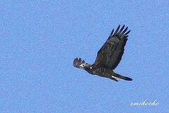 09/22 �n�`�N�}