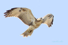 09/22 �m�X��