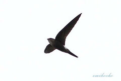 09/26 �A�}�c�o��