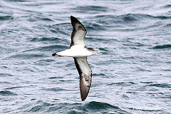 09/24 �I�I�~�Y�i�M�h��