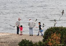 10/11 �I�I�~�Y�i�M�h�����߂��B