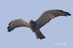 10/14 �����̃T�V�o�ł�