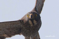 10/14 �ƂĂ��߂������I