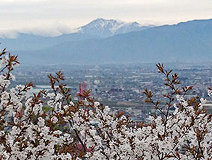 04/07 ���}�U�N�����J���`(���X�m�j