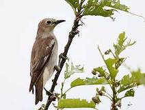 05/03 �R���N�h���@�n��̂��͕s��